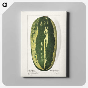 1-98_USDA-Watercolor-Fruit-Painting-Collection_canvas