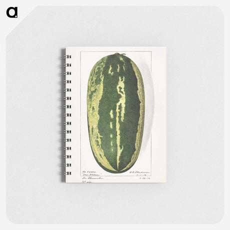 1-98_USDA-Watercolor-Fruit-Painting-Collection_memo