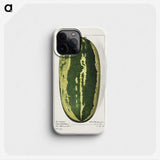 1-98_USDA-Watercolor-Fruit-Painting-Collection_phone