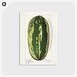 1-98_USDA-Watercolor-Fruit-Painting-Collection_postcard