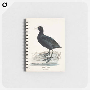 アートメモ帳-Eurasian coot - ヴィルヘルム フォン ライト Memo.