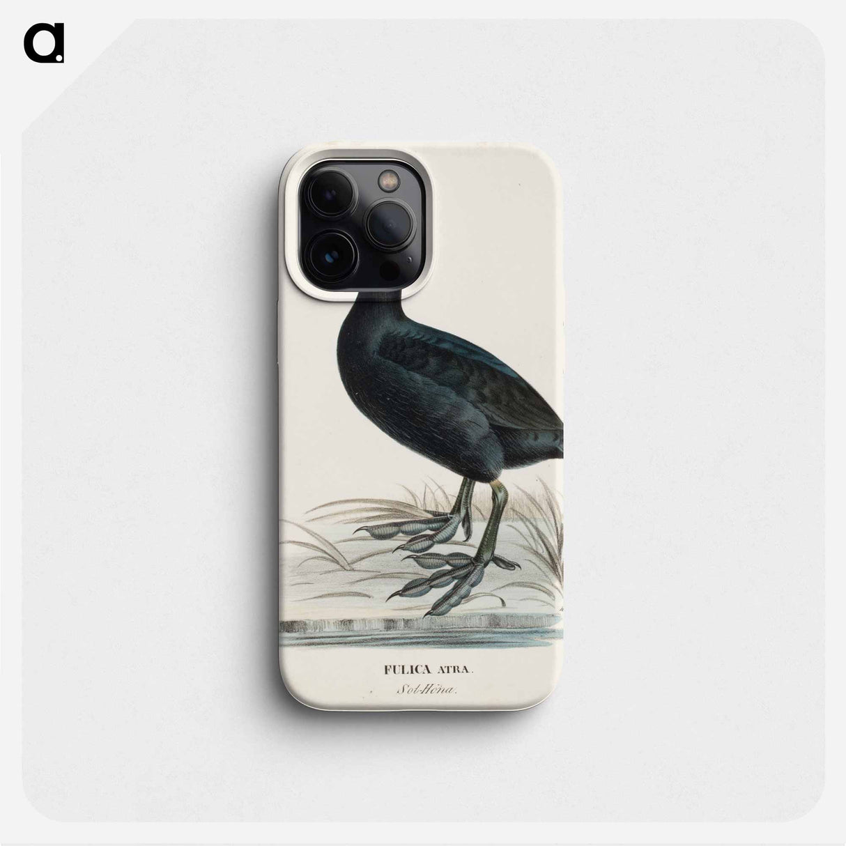 Eurasian coot - ヴィルヘルム フォン ライト Phone Case.