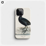 Eurasian coot - Wilhelm von Wright Phone Case.