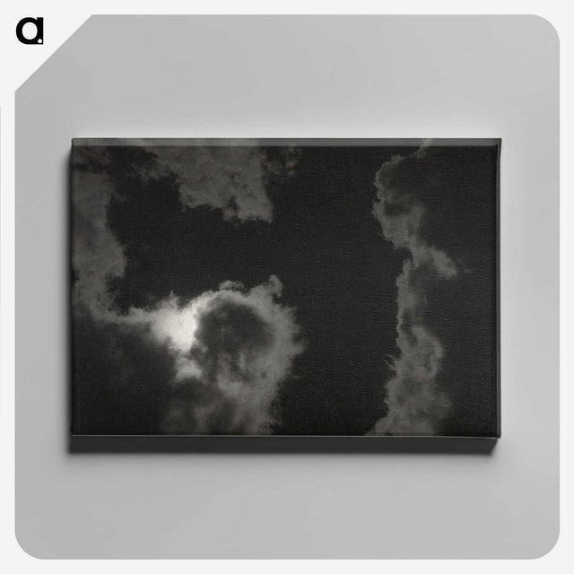 1-99_Alfred-Stieglitz_canvas