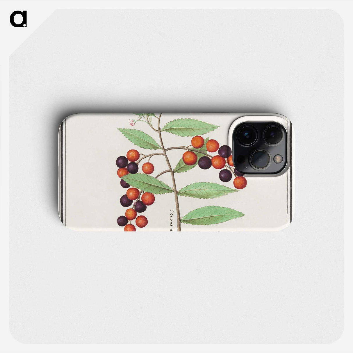 1-99_Anselmus-Boetius-de-Boodt_phone