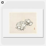 1-99_Bairei-Gakan_picture