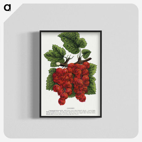 1-99_Botanical-Specimen-Plates_blk-crop