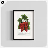 1-99_Botanical-Specimen-Plates_blk