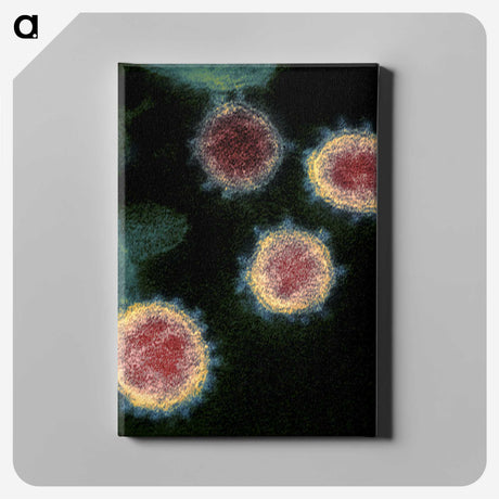 1-99_COVID-19_canvas