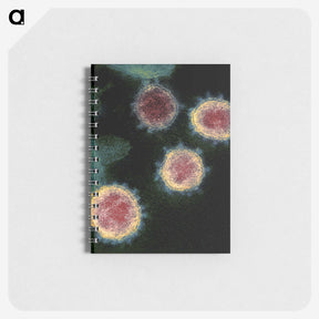 1-99_COVID-19_memo
