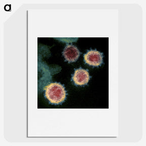 1-99_COVID-19_picture