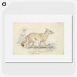 1-99_Charles-Hamilton-Smith_picture
