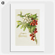 1-99_Christmas_picture