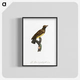 1-99_Des-Oiseaux-de-Paradis_blk-crop