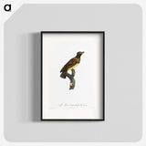 1-99_Des-Oiseaux-de-Paradis_blk