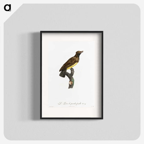 1-99_Des-Oiseaux-de-Paradis_blk