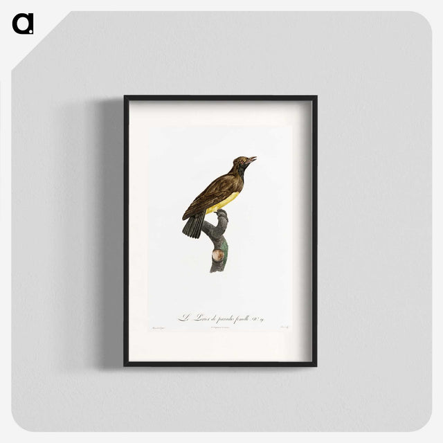 1-99_Des-Oiseaux-de-Paradis_blk