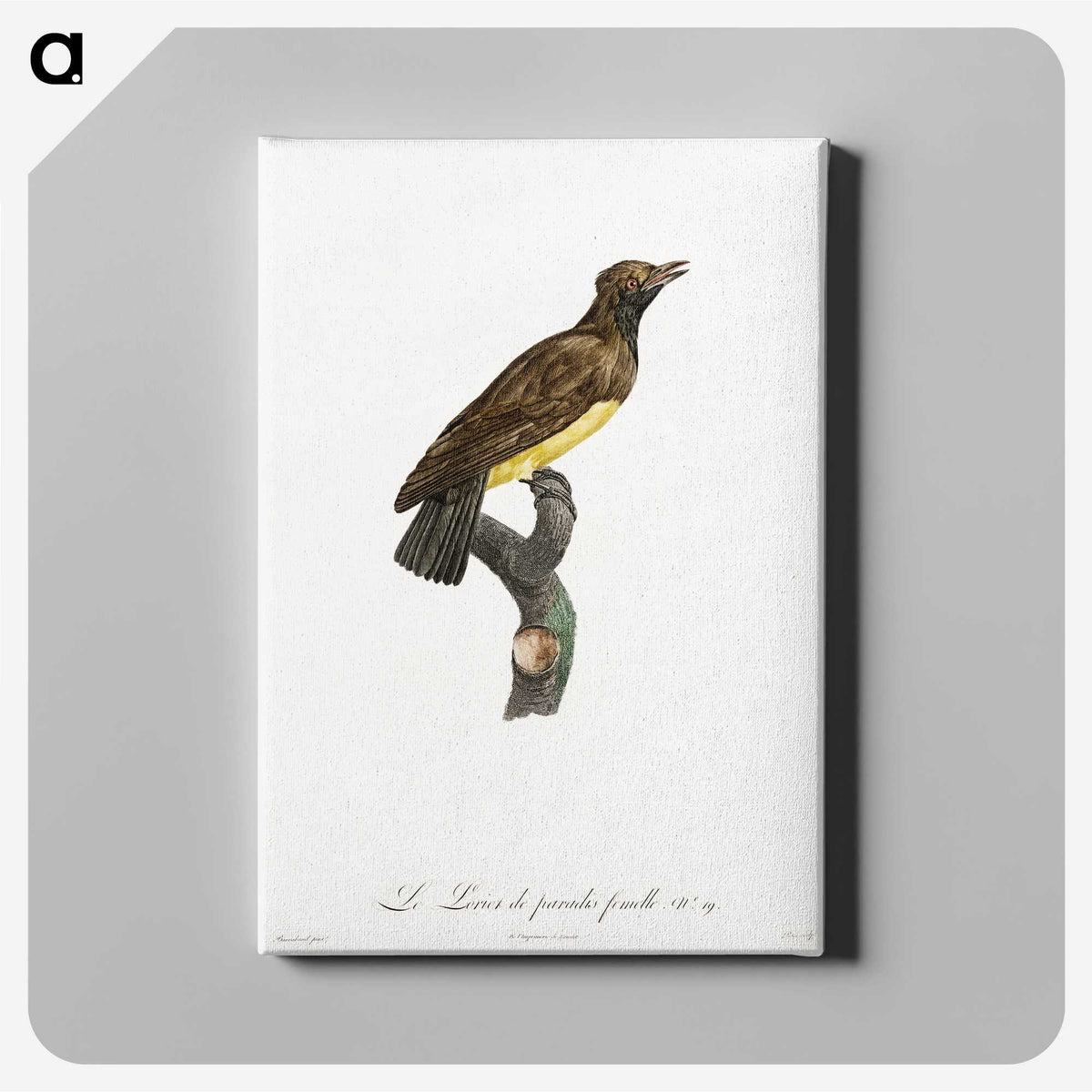1-99_Des-Oiseaux-de-Paradis_canvas