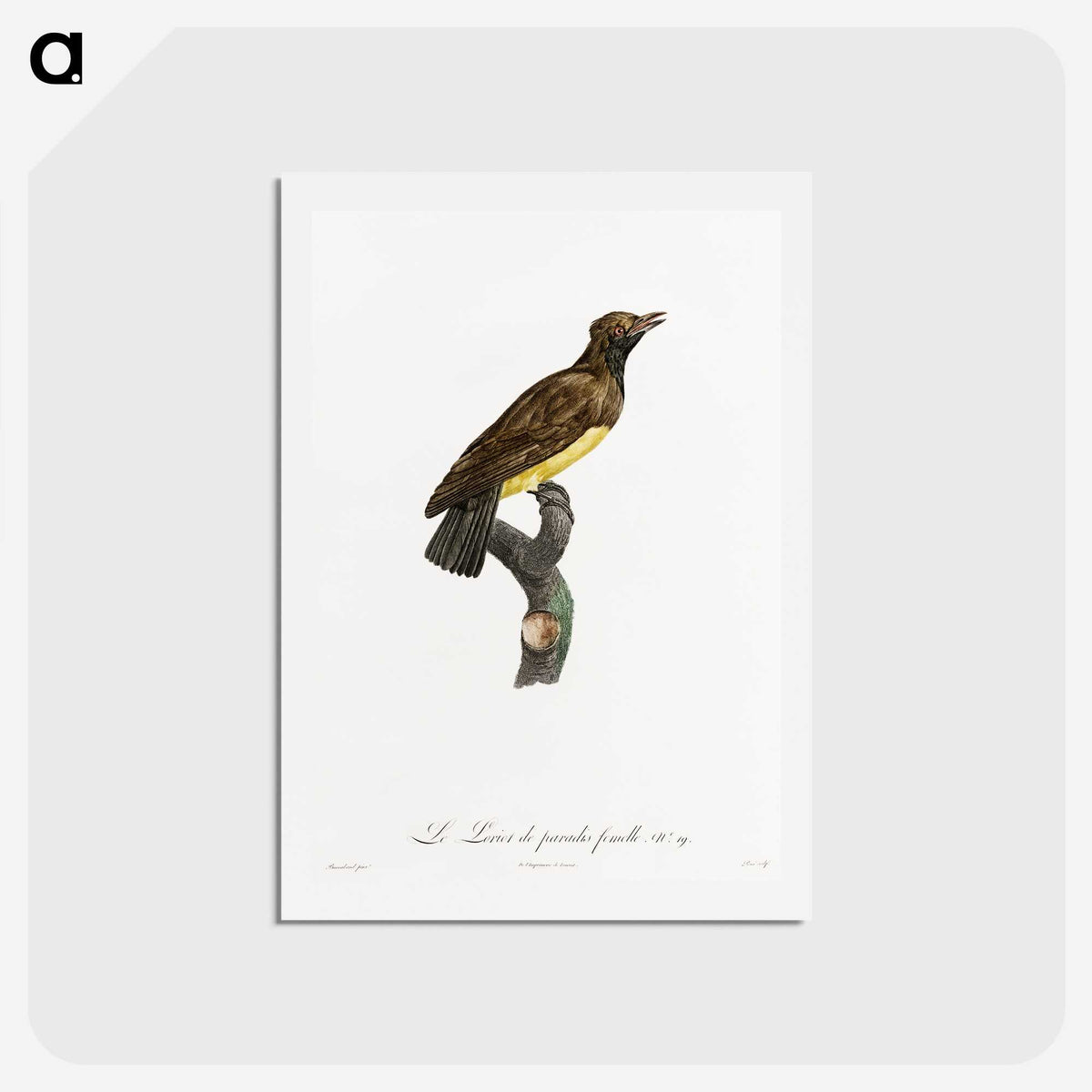 1-99_Des-Oiseaux-de-Paradis_hagaki