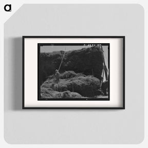 アートポスター-Untitled photo, possibly related to: The threshing of oats. Clayton, Indiana, south of Indianapolis - ドロテア ラング Poster.