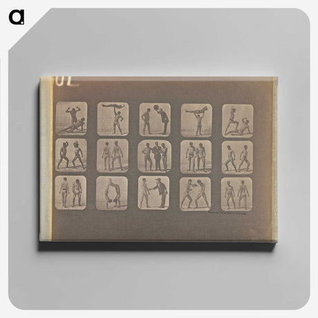 1-99_Eadweard-Muybridge_canvas