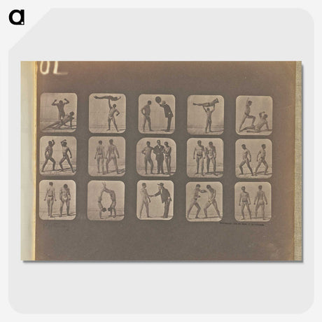 1-99_Eadweard-Muybridge_picture-crop