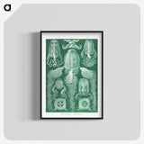 1-99_Ernst-Haeckel_blk-crop