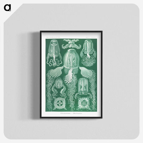 1-99_Ernst-Haeckel_blk-crop
