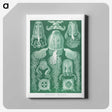 1-99_Ernst-Haeckel_canvas