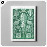 1-99_Ernst-Haeckel_canvas