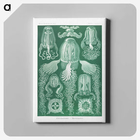 1-99_Ernst-Haeckel_canvas