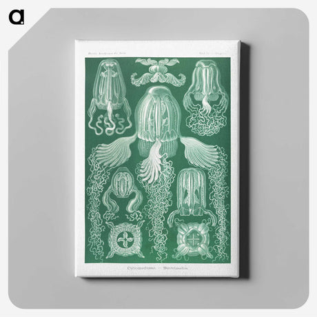 1-99_Ernst-Haeckel_canvas