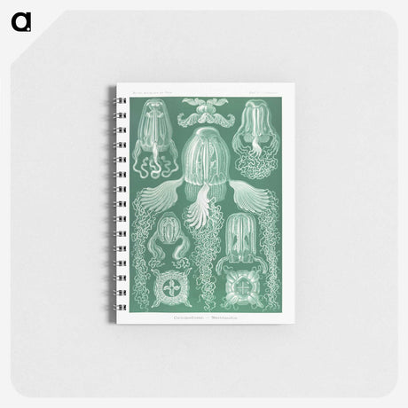 1-99_Ernst-Haeckel_memo