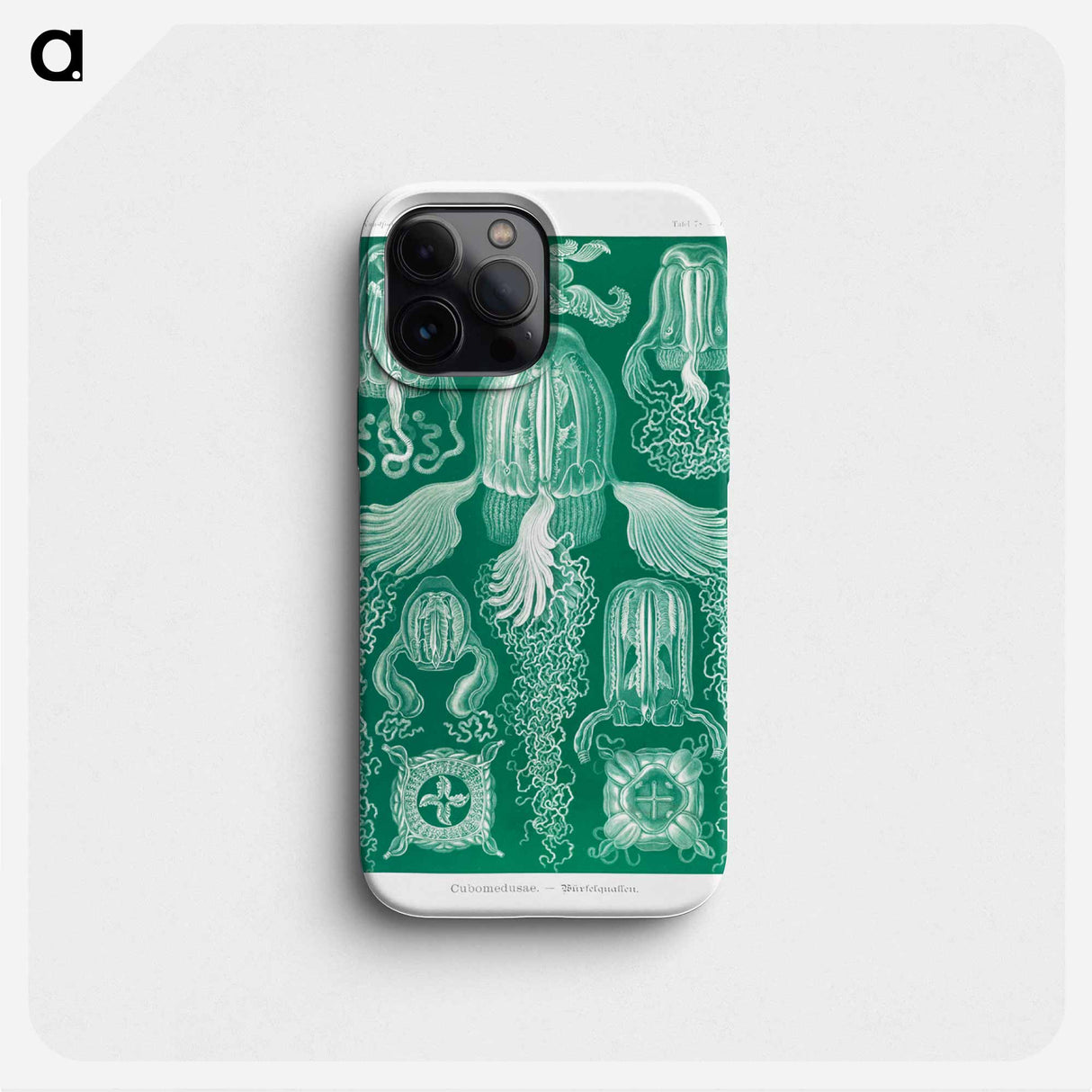 Cubomedusae–Würfelquallen - エルンスト ヘッケル Phone Case.