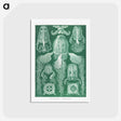 1-99_Ernst-Haeckel_postcard