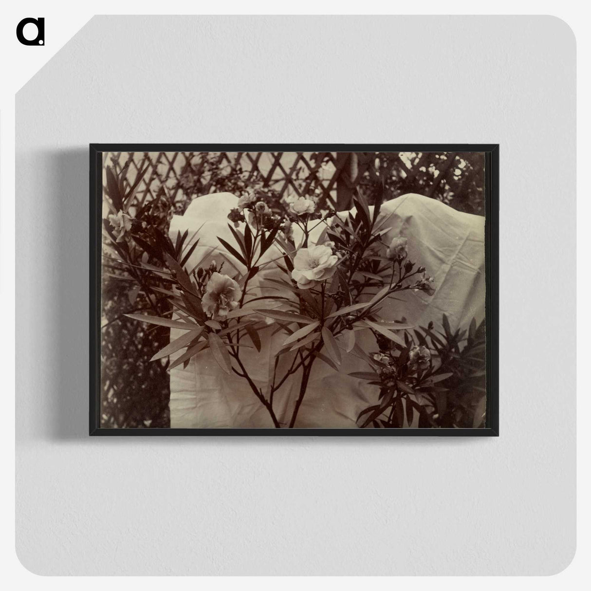 1-99_Eugene-Atget_blk-crop