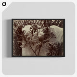 1-99_Eugene-Atget_blk-crop