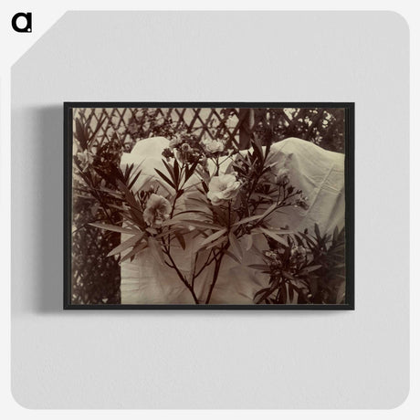 1-99_Eugene-Atget_blk-crop