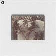 1-99_Eugene-Atget_memo