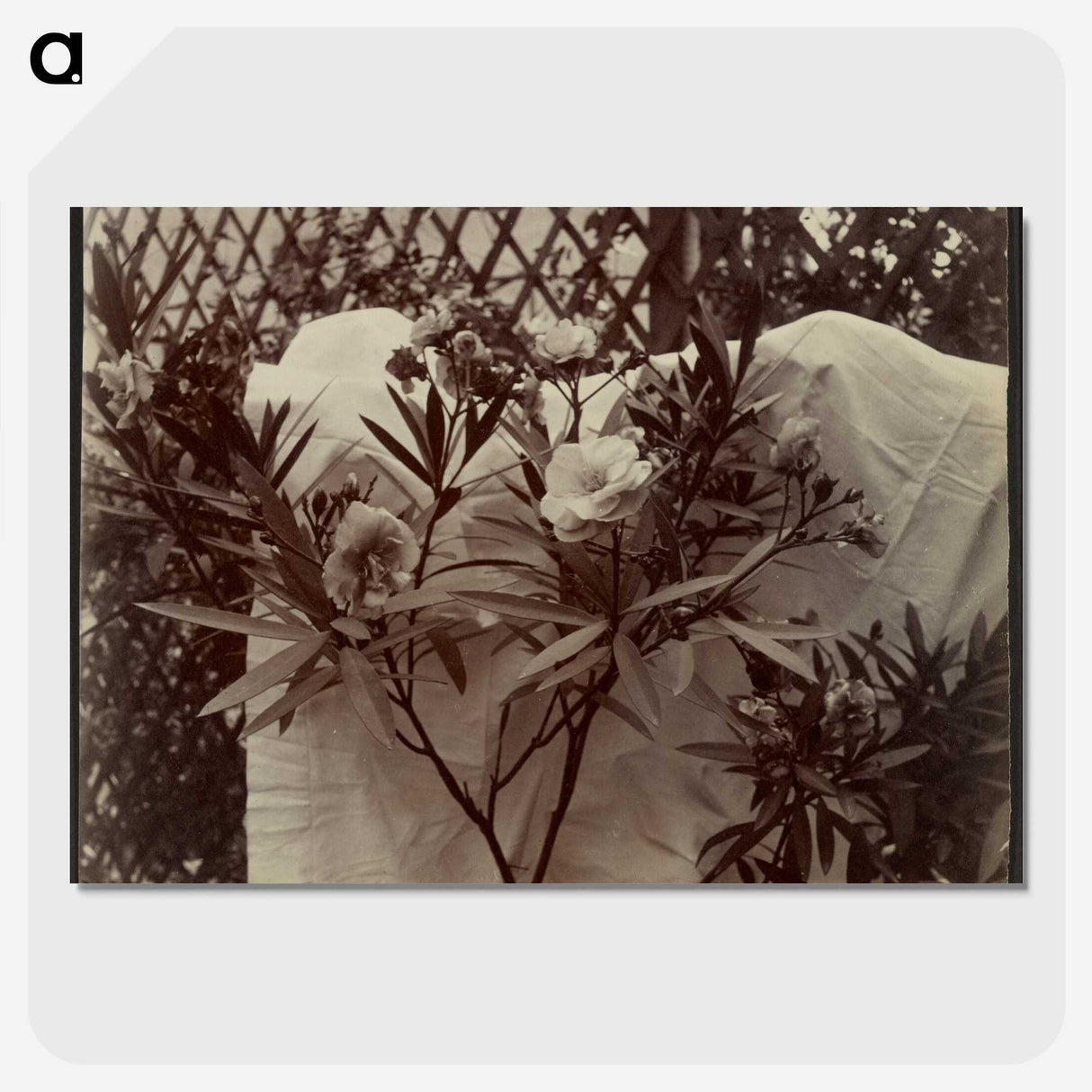 1-99_Eugene-Atget_picture-crop