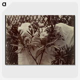 1-99_Eugene-Atget_picture-crop