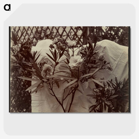 1-99_Eugene-Atget_picture-crop