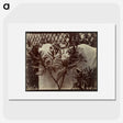 1-99_Eugene-Atget_picture