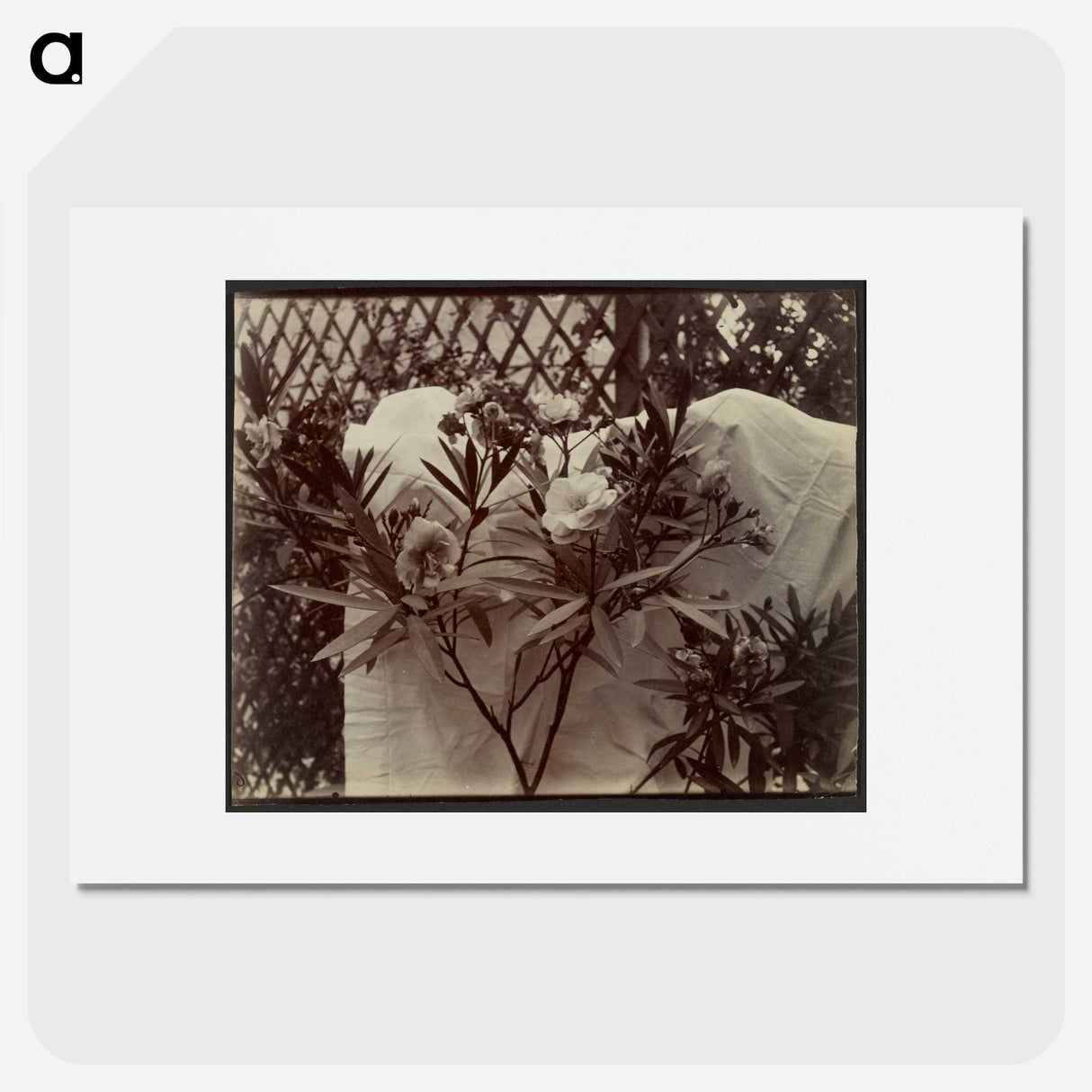 1-99_Eugene-Atget_picture