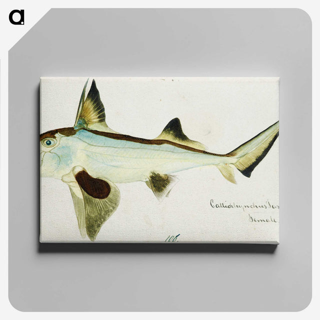 1-99_Frank-Edward-Clarke_canvas