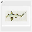 1-99_Frank-Edward-Clarke_picture