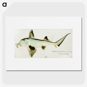 1-99_Frank-Edward-Clarke_picture