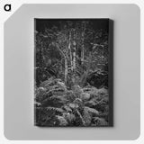 1-99_Frederick-Charles-Brockett_canvas