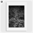 1-99_Frederick-Charles-Brockett_picture