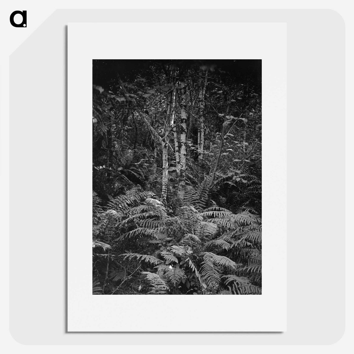 1-99_Frederick-Charles-Brockett_picture